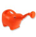 Floristik24 Regador de laranja elefante