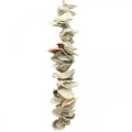Floristik24 Guirlanda de conchas, decoração marítima de verão, corrente de conchas naturais cores naturais L35cm