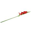 Floristik24 Gladiolus vermelho artificial 86cm