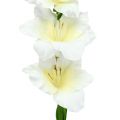 Floristik24 Gladiolus branco 86cm artificial