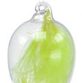 Floristik24 Ovo de vidro com penas para pendurar 6,5 cm verde claro 6 unidades
