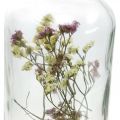 Floristik24 Copo com castiçal, vidro decorado com flores secas A16cm Ø8,5cm
