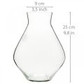 Floristik24 Vaso de flores vaso de vidro bulboso vaso transparente decorativo Ø20cm H25cm