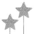 Floristik24 Glitter estrela de prata 5cm em fio L22cm 48pcs
