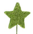 Floristik24 Estrelas brilhantes em fio verde 5cm 48pcs