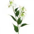 Floristik24 Lírio artificial, decoração com flores, planta artificial, flor de seda branca L82cm 3 unidades