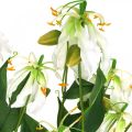 Floristik24 Lírio artificial, decoração com flores, planta artificial, flor de seda branca L82cm 3 unidades