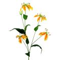 Floristik24 Gloriosa ramo laranja-amarelo 90cm 1 peça