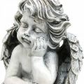 Floristik24 Grave anjo anjo cinza figura grave decoração de túmulo 24cm