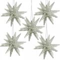 Floristik24 Estrelas de glitter para pendurar champanhe na decoração da árvore de natal 7,5 cm 8 peças