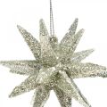 Floristik24 Estrelas de glitter para pendurar champanhe na decoração da árvore de natal 7,5 cm 8 peças