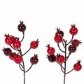 Floristik24 Ramo artificial de romã com hastes ramificadas para decoração de vaso, 19 cm, 4 peças