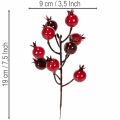 Ramo artificial de romã com hastes ramificadas para decoração de vaso, 19 cm, 4 peças | Floristik24.pt