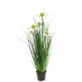 Floristik24 Grama artificial com Echinacea em um vaso branco de 52 cm
