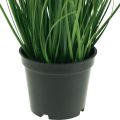 Floristik24 Planta em vaso artificial de grama artificial de grama quaking 36cm