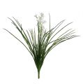 Floristik24 Capim arbusto com flores verdes, brancas 3pçs