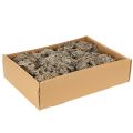 Musgo decorativo, musgo cinza para artesanato, 500g | Floristik24.pt