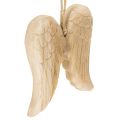 Floristik24 Pingente de asa de anjo de madeira para decoração suspensa, 12 cm