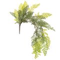Floristik24 Ramo de samambaia artificial, delicado, para vaso, 80 cm