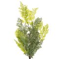Ramo de samambaia artificial, delicado, para vaso, 80 cm | Floristik24.pt