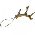 Decoração de pingente de Natal chifres decorações de árvores ouro 7,5 cm 6 unidades | Floristik24.pt