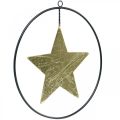 Floristik24 Decoração de Natal pingente estrela ouro preto 12,5 cm 3 unidades