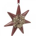 Floristik24 Pingente de Natal estrela decorativa para pendurar Bordeaux 4uds