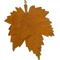 Floristik24 Decoração de outono folhas de metal com aparência de ferrugem folha de bordo 6 peças
