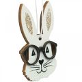 Floristik24 Pingente de madeira coelho com óculos cenoura purpurina 4×7,5cm 9uds