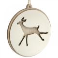 Floristik24 Pingente com cervo, medalhão de decoração, decoração de madeira, Advento Ø9,5cm 6pcs