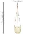 Vaso de vidro para pendurar, vaso de vidro decorativo, estilo retrô, verde/marrom, 14,5 cm, 2 peças | Floristik24.pt