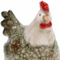 Floristik24 Figuras Deco galinha e galo cinza, branco, vermelho 10,2cm x 7cm A12,7cm 2pcs