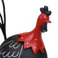 Floristik24 Galo Decoração de Páscoa decoração de metal frango preto vermelho Alt.13,5cm
