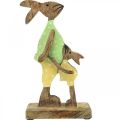 Floristik24 Coelhinho da páscoa com criança, decoração de primavera feita de madeira, pai coelho, natureza da páscoa, verde, amarelo H22cm