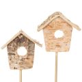 Floristik24 Casinha de pássaros decorativa, bétula, 5 cm, com suporte para flores, 4 peças