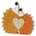 Floristik24 Casal ouriço de decoração de outono com coração 15cm - 18cm