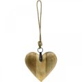 Floristik24 Coração de madeira, coração decorativo para pendurar, decoração de coração Alt.19cm