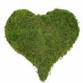 Floristik24 Coração de musgo verde 20cm 3pçs
