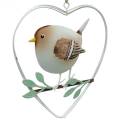 Floristik24 Pingente de coração com pardais, decoração de primavera, coração de metal, dia dos namorados, coração de pássaro 4 unidades