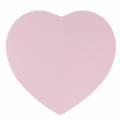 Floristik24 Caixa de flores coração rosa Ø18/20cm conjunto de 2