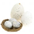 Floristik24 Variedade de ovos ganso, frango e codorna 3,5 cm – 8 cm 12 peças