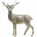 Floristik24 Deco Deer Champanhe glitter 44cm