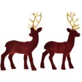 Floristik24 Deer Deco Reindeer Bordeaux Gold Calf Flocado 20 cm Conjunto de 2