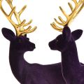 Floristik24 Deer Deco Reindeer Violet Gold Bezerro Flocado 20 cm Conjunto de 2