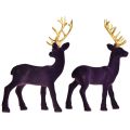 Floristik24 Deer Deco Reindeer Violet Gold Bezerro Flocado 20 cm Conjunto de 2