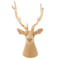 Escultura decorativa de cabeça de veado com grandes chifres, 52 cm | Floristik24.pt