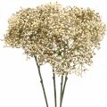 Floristik24 Ramo de flor decorativo branco creme de sabugueiro artificial 52 cm 4 peças