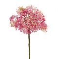 Floristik24 Ramo de flor de sabugueiro rosa-branco L 55 cm 4 unidades