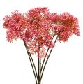 Floristik24 Ramo de flor de sabugueiro rosa 54,5 cm 4 unidades