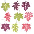 Floristik24 Mistura de folhas de madeira para pendurar cores variadas 15 cm 9 unidades